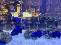 -上和臻品中国菜(花园街店)