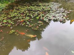 -杭州植物园