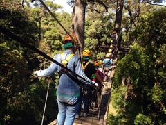 Jungle Flight-清迈丛林飞跃 JungleFlight