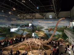 -自贡恐龙博物馆