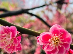 -静安雕塑公园