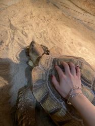 -Zoolung Zoolung动物主题公园(海信广场店)