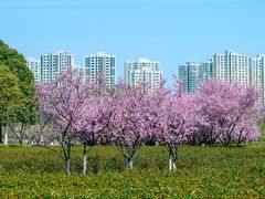 -白塘生态植物园