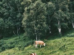 -灵山