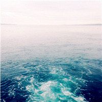 -薇兰专业脱毛连锁机构