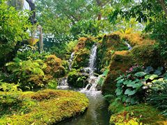 -Chom Cafe and Restaurant