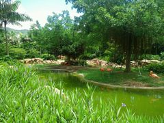 -珠海横琴长隆《卡卡虎奇遇记》