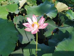 -雪浪山卡丁车俱乐部