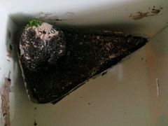 -精点味道(西安路店)