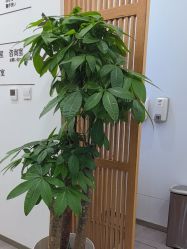 -和颜一美轻医美连锁