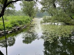 -承德避暑山庄景区