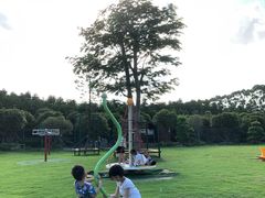 -迪茵湖田家舍生态农场