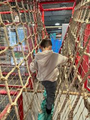 -玩元素·家庭游乐成长中心(香格里拉店)
