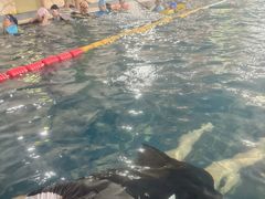 -阳光悦动游泳健身会所