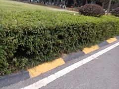 -巢爷老味(东方红店)