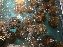 -徐记海鲜(梅溪新天地店)