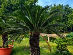 -国家植物园南园