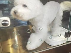 -FAELING PETS美天灵宠物(富力广场店)