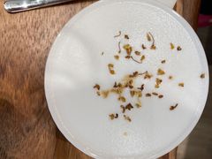 桂花酒酿珍宝拿铁-Peet's Coffee皮爷咖啡(上海长风大悦城店)