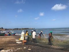 -尼甘布海鲜市场