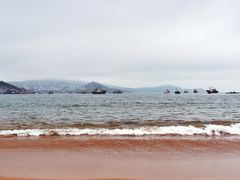 -枸杞岛