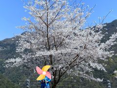 -四明山国家森林公园