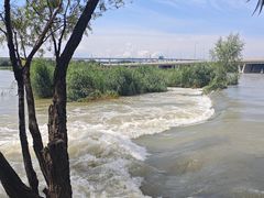 -绿堤公园