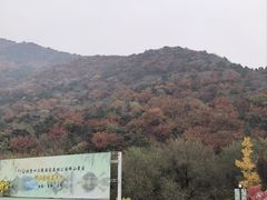 -北京十三陵国家森林公园蟒山景区