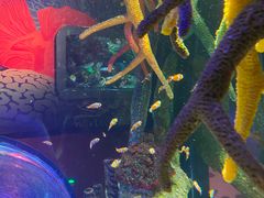 -沈阳海洋探索中心