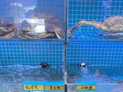 -启东小海鲜(庄先湾路1号店)