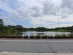 -福田红树林生态公园