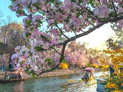 -元大都城垣遗址公园