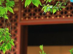 -沣东·沣河生态景区