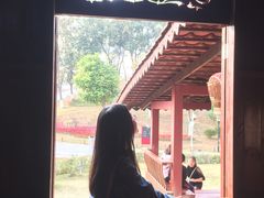 -东莞植物园