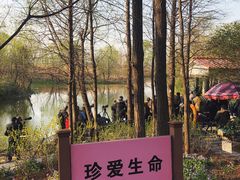 -新江湾城公园