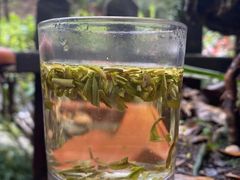 -国生茶庄·地道农家菜团建活动