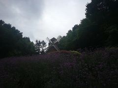 -阿哈湖国家湿地公园