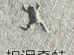 -千禧炸串(明瓦廊店)