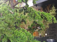 -STARRY CAFE & LOUNGE BAR(高新店)