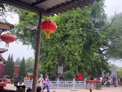 -大槐树寻根祭祖园