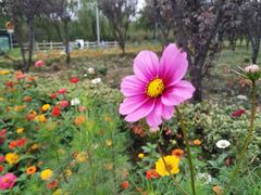 -共青国家森林公园-南大门停车场