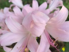 -终南山南五台景区