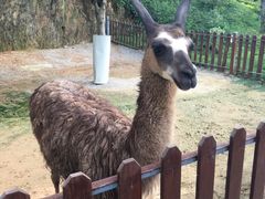 -泉州海丝野生动物世界