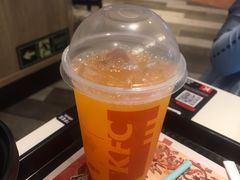 九珍果汁饮料TN-肯德基(巴沟店)