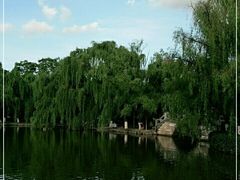 -翠湖公园