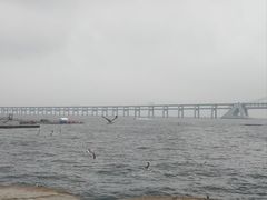 -星海湾跨海大桥