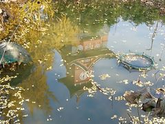 -四川大学(华西校区)