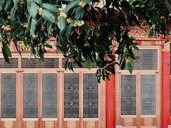 -龙潭水乡