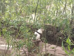 -崂山九水游览区