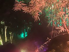 -杭州黄龙洞